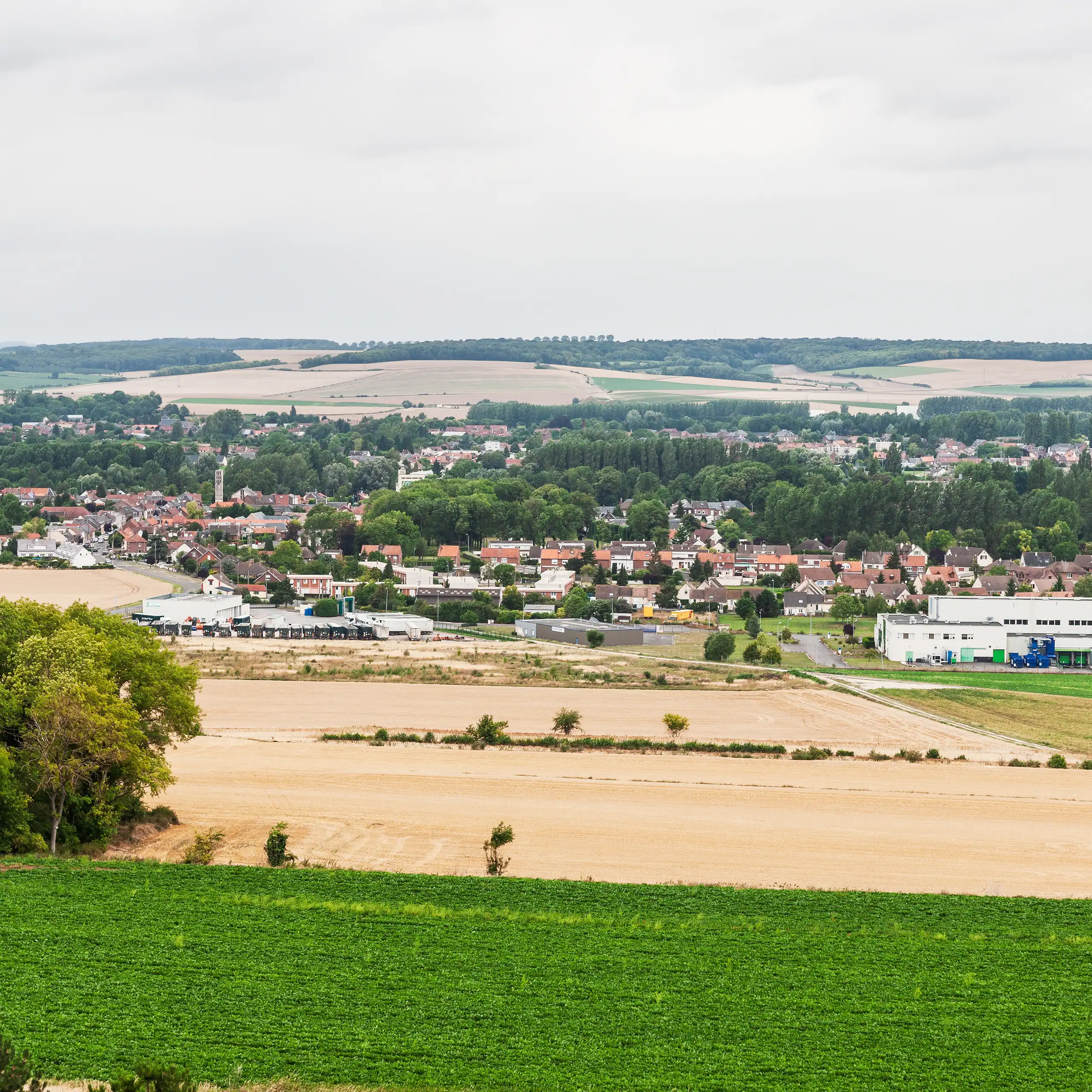 Vue panoramique d'un paysage rural avec un village en arrière-plan.