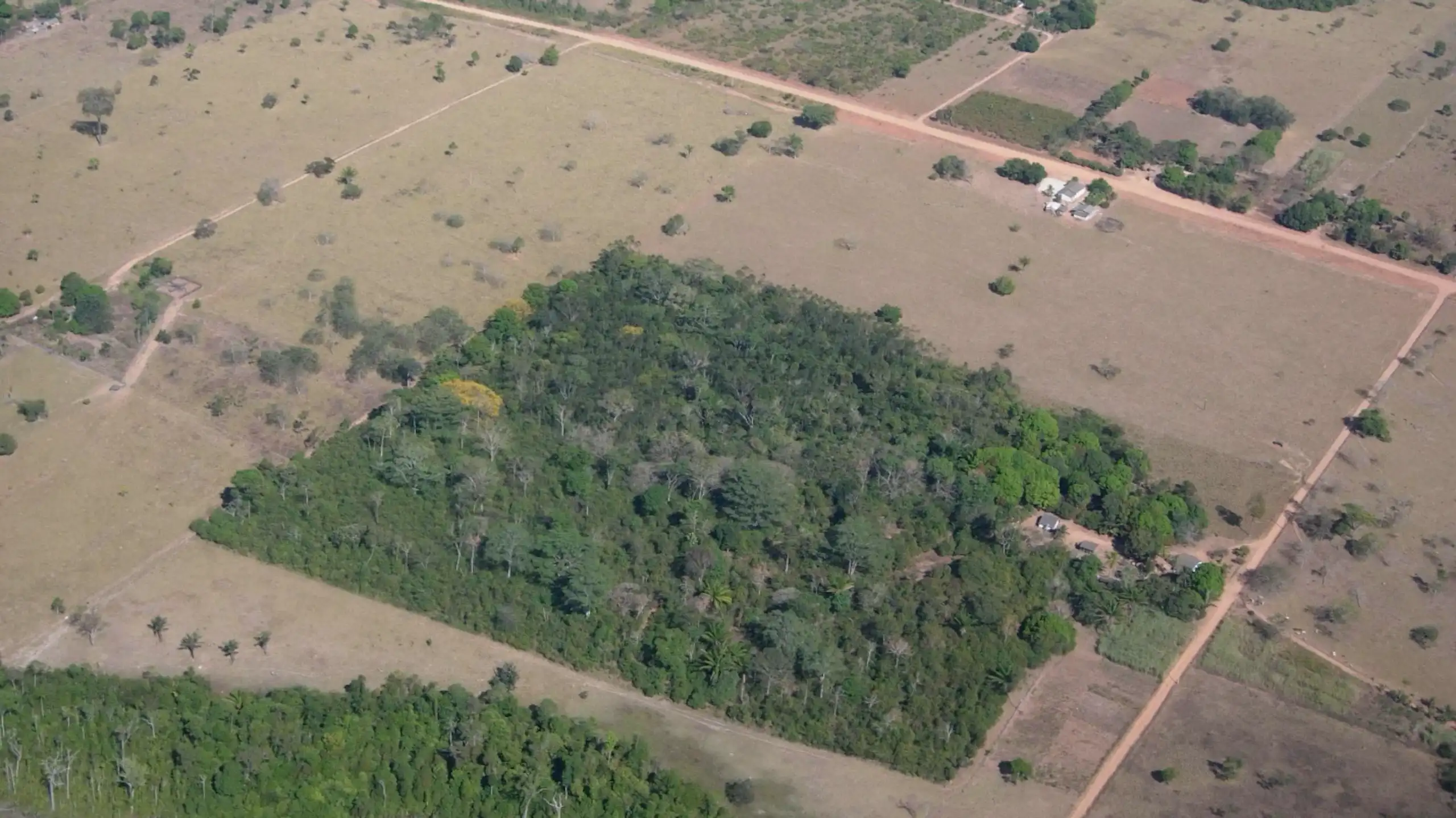 The photo shows a patch of woodland, full of trees, surrounded by pastureland, where several isolated trees and a riparian forest can be seen