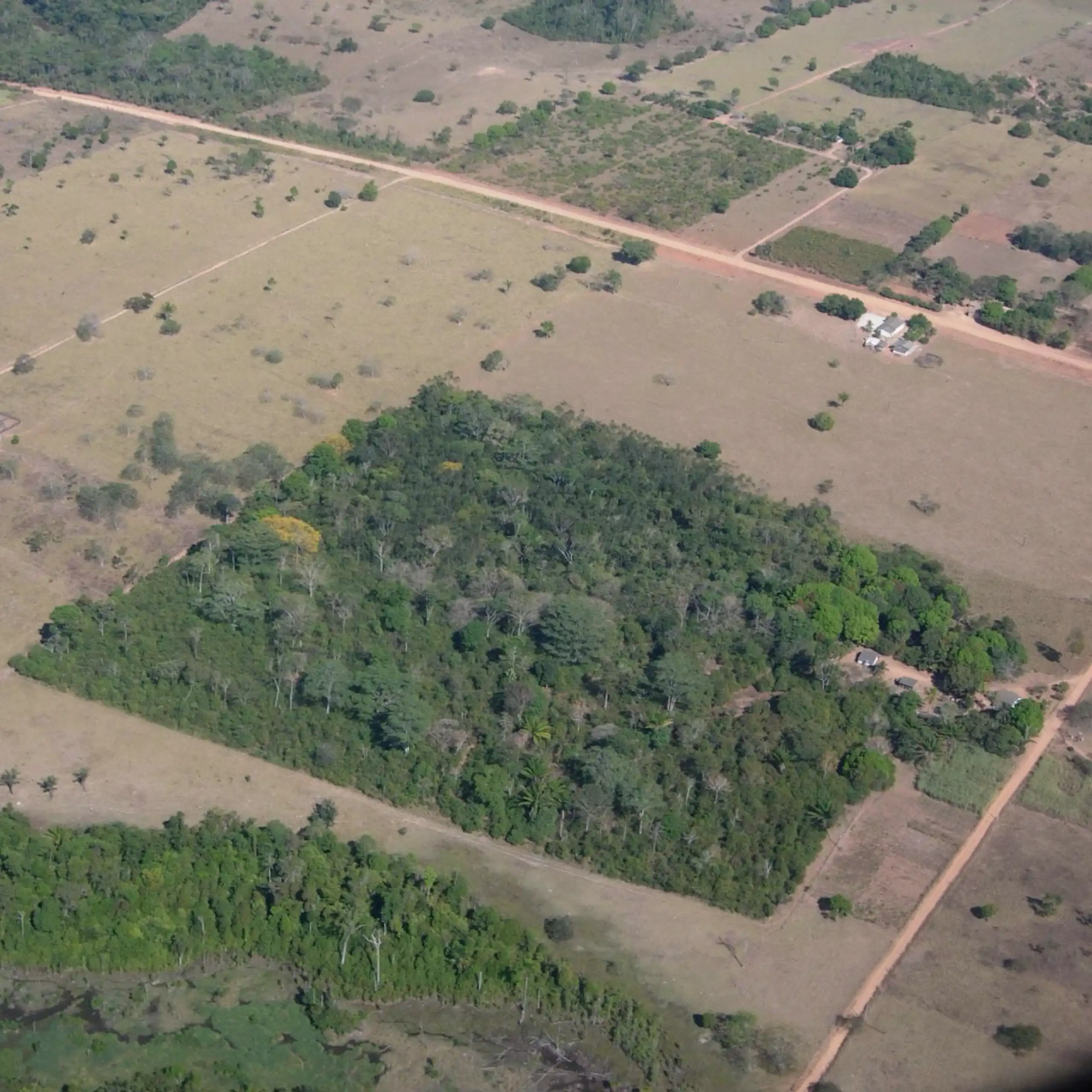 The photo shows a patch of woodland, full of trees, surrounded by pastureland, where several isolated trees and a riparian forest can be seen