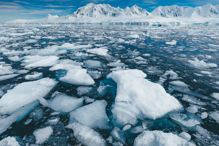 Sea ice at the fringe of an iceberg.