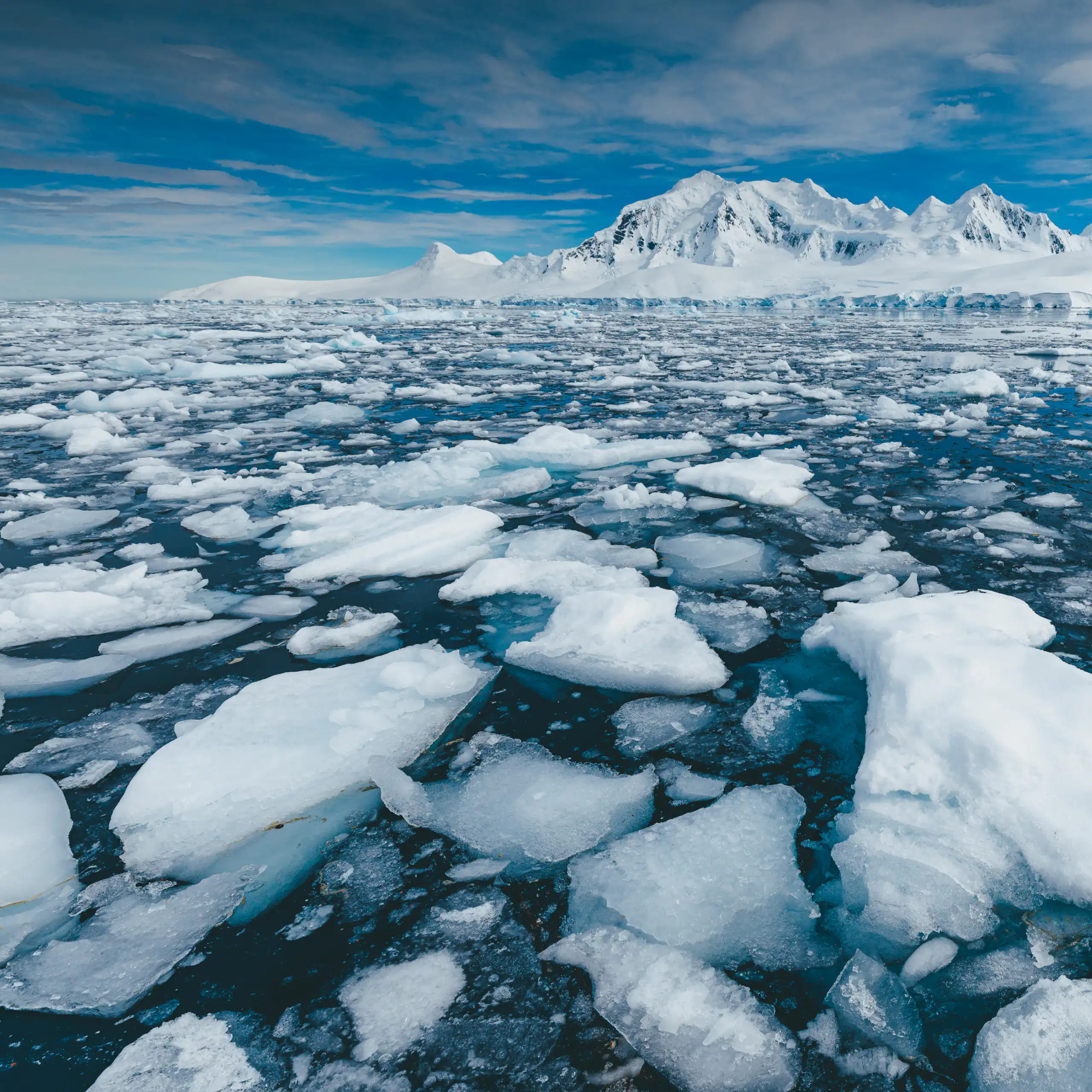 Sea ice at the fringe of an iceberg.