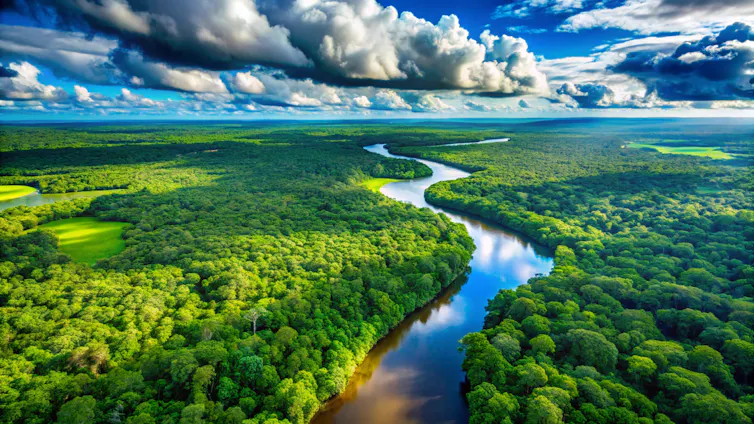 drone shot of lush amazon rainforest, river running through trees, blue sky