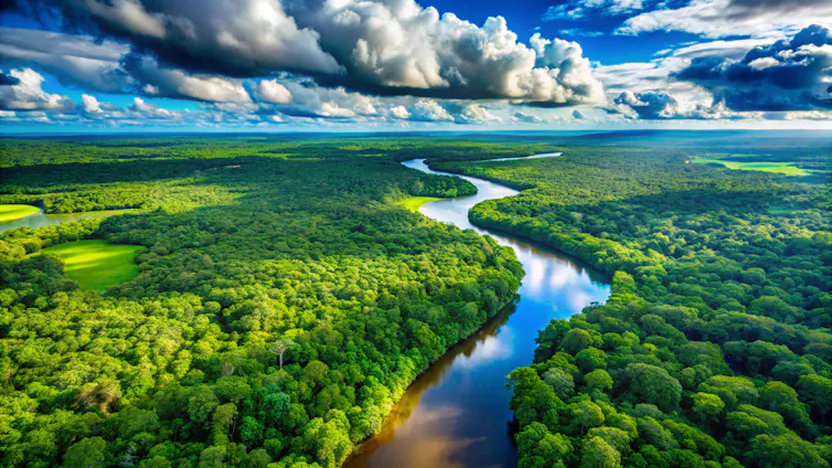 drone shot of lush amazon rainforest, river running through trees, blue sky