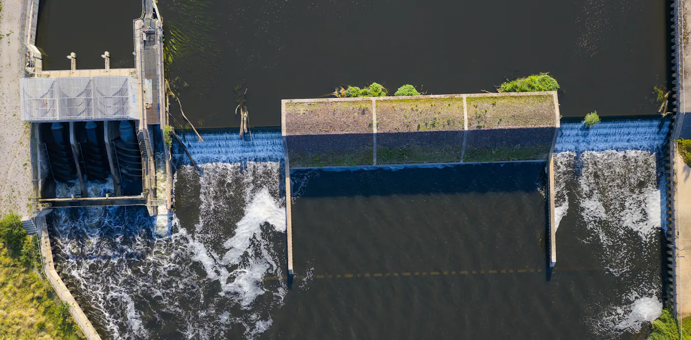 EnviroWireDaily — River wildlife moves freely once dams are removed – but so too can invasive species