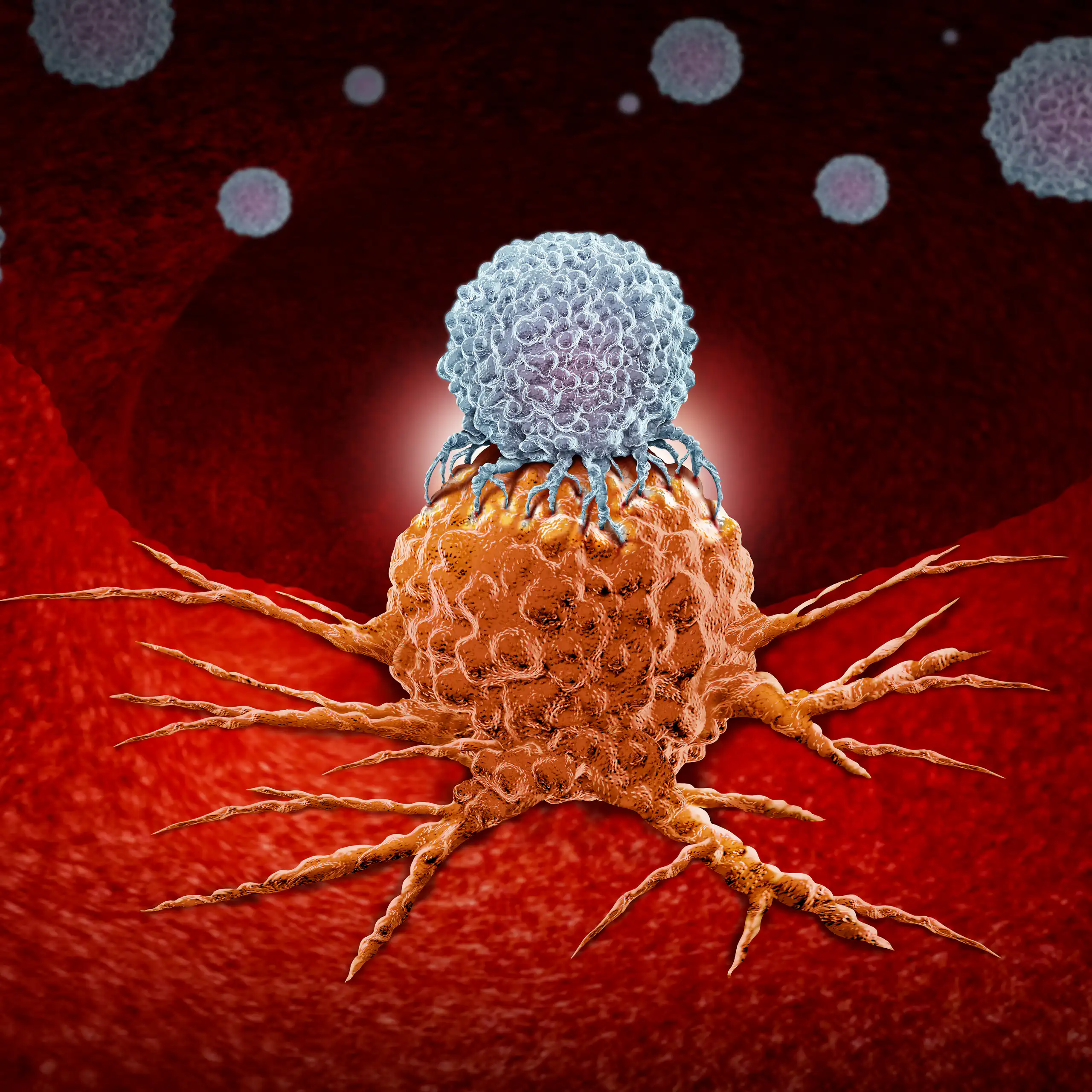 Vue d’artiste d’un lymphocyte T s’attaquant à une cellule tumorale.