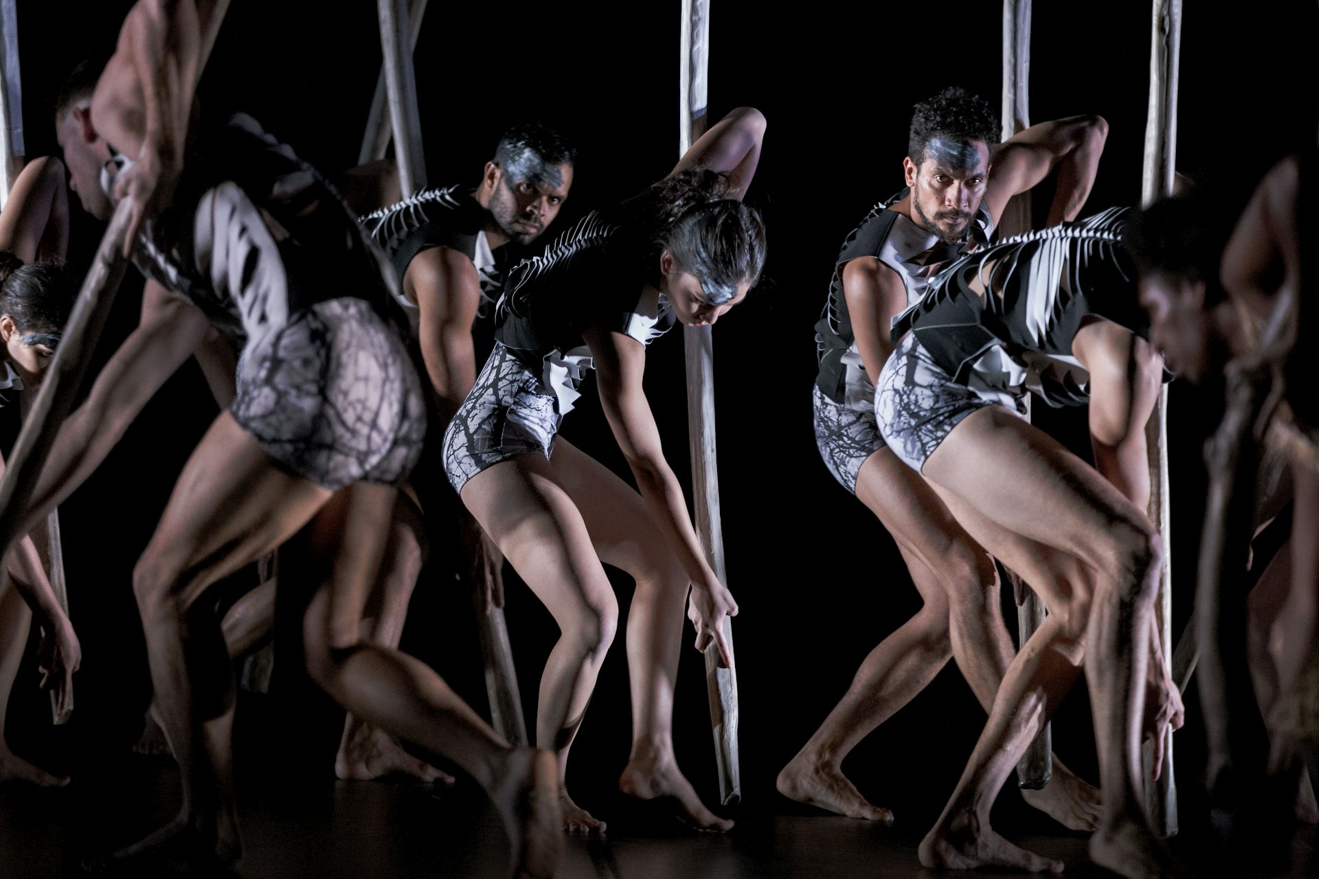 Bangarra’s Sheltering is a powerful showcase of First Nations dance and creativity