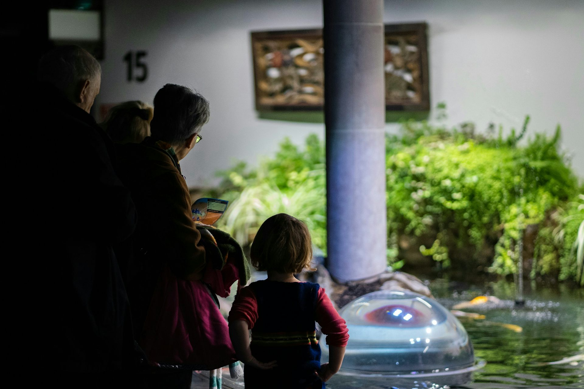 Los adultos mayores con niños pequeños miran una exhibición de agua que parece estar en el interior.
