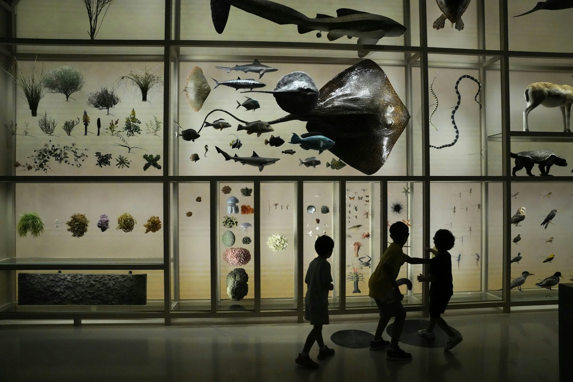 When adults thoughtfully pay attention to children’s curiosity and questions, they can support child development and foster the exchange of meaningful insights.