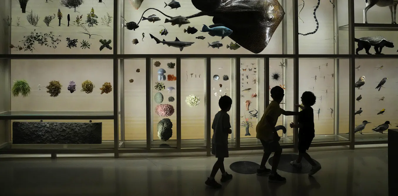 EduWireDaily — A day at the museum: How to follow kids’ leads to support curiosity across generations