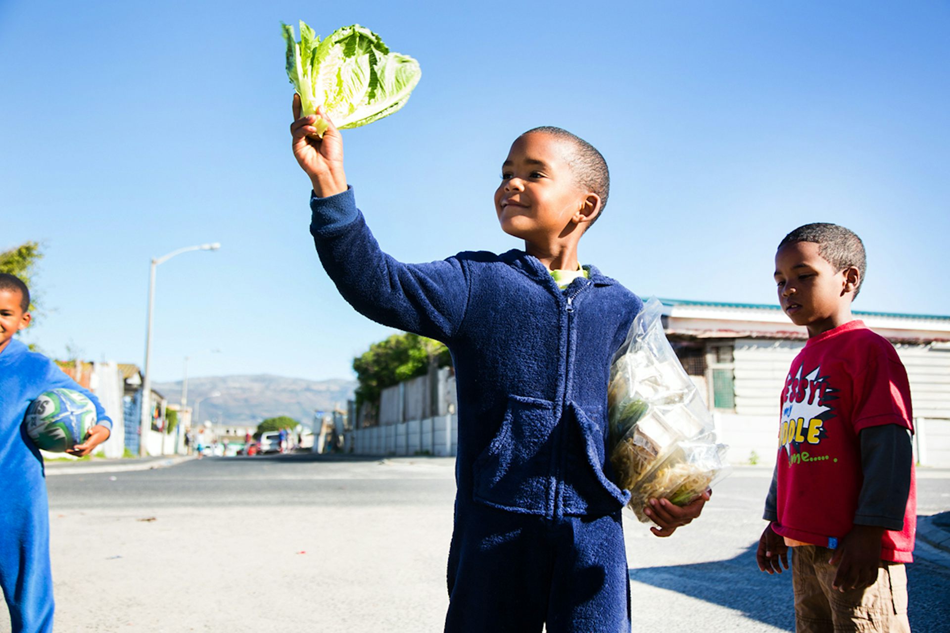 EnviroWireDaily — Could the roofs of low cost houses be South Africa’s secret weapon against hunger?