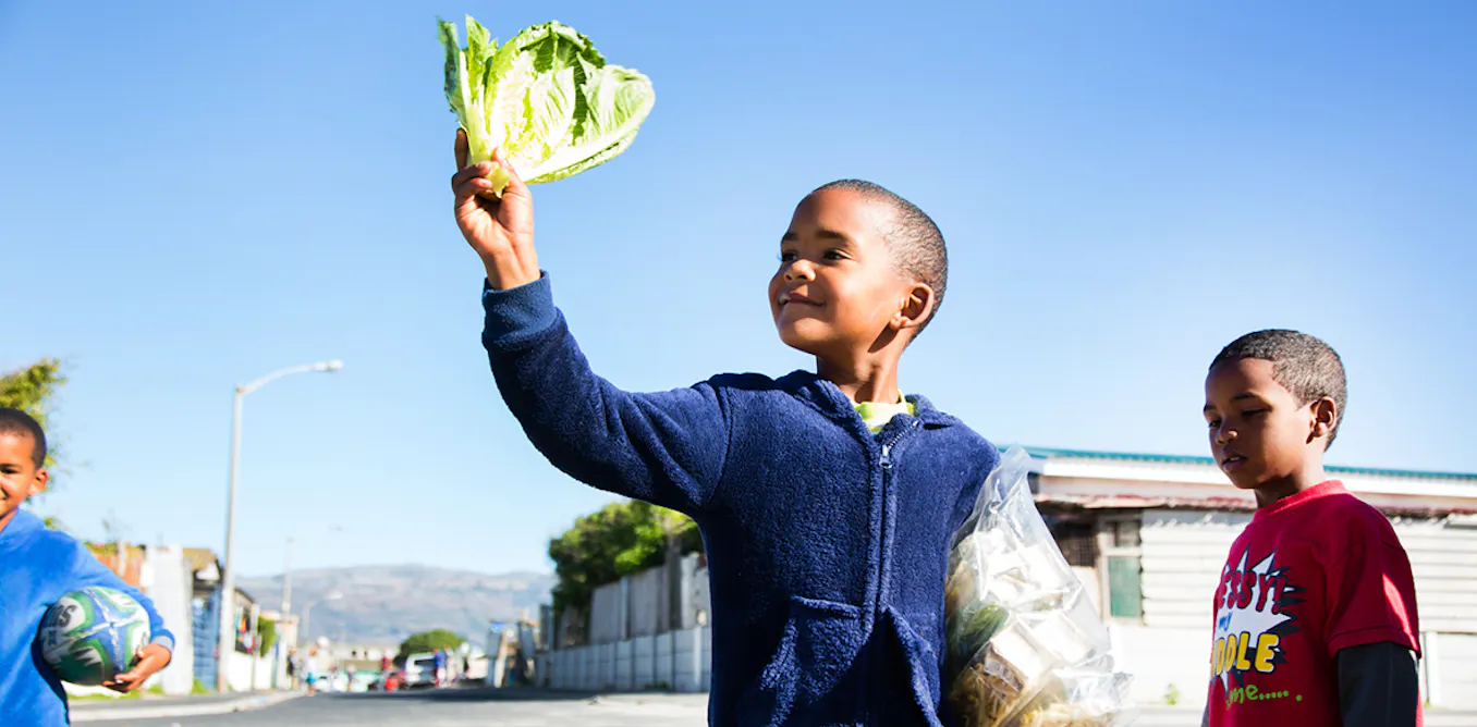EnviroWireDaily — Could the roofs of low cost houses be South Africa’s secret weapon against hunger?