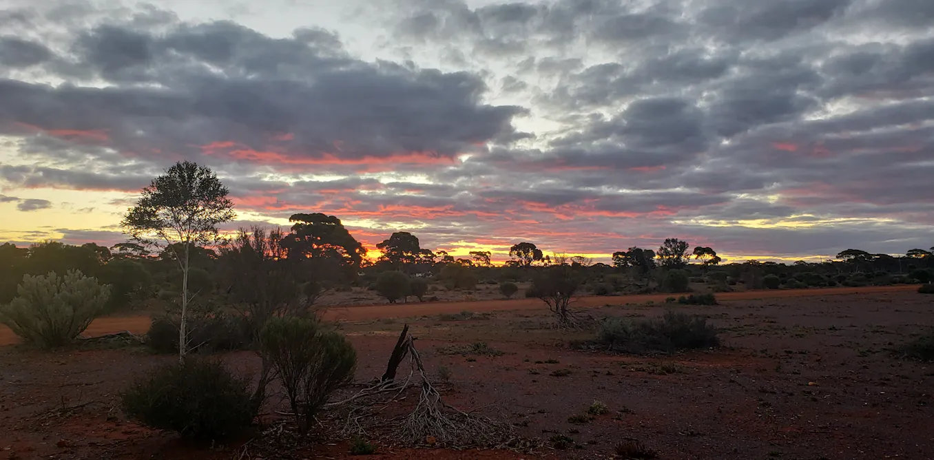 EnviroWireDaily — A meteorite impact may have once rained gold on Western Australia – new study