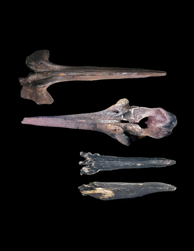 Three weathered skulls against a black background.