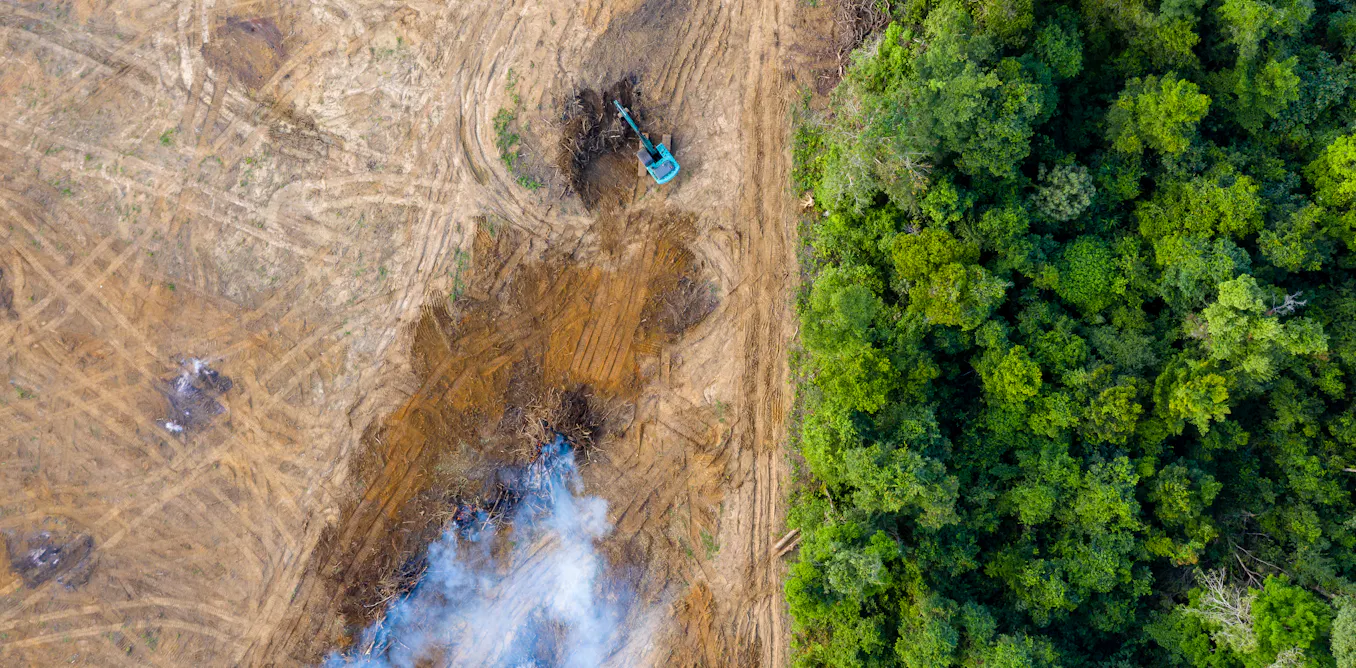 EnviroWireDaily — Amazon deforestation is falling, but progress is stalling