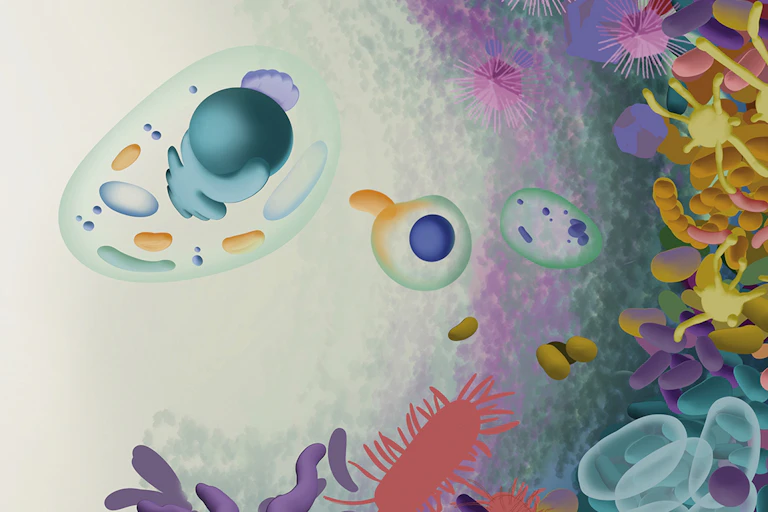 ilustracion de microbios de colores y la primera célula