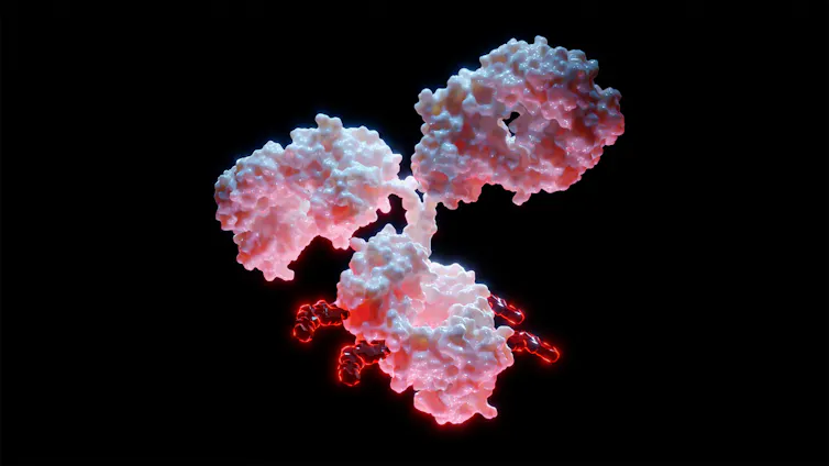 A digital drawing depicting an antibody drug conjugate, which is shaped like the letter 'T'. Its surface is textured like rocks.