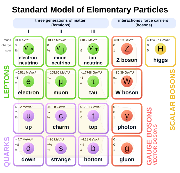 A diagram showing the Standard Model of Elementary Particles, which is divided into two types of particles: carriers of matter (fermions) and force carriers (bosons)