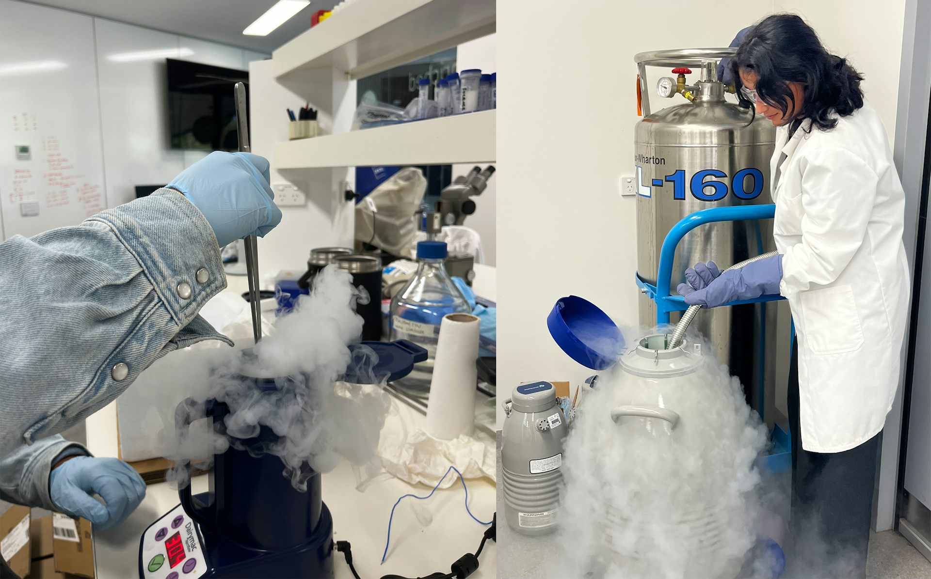 A scientist holding a liquid nitrogen hose and pumping it into a container.