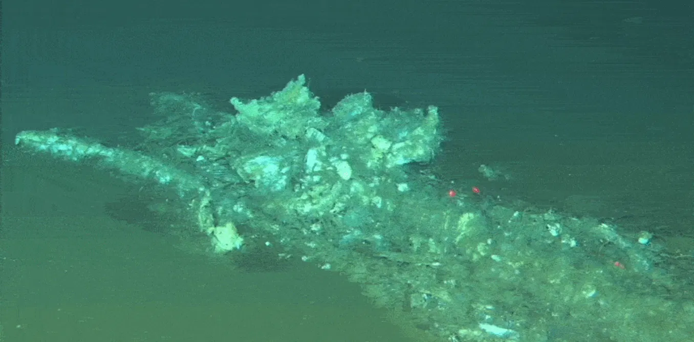 EnviroWireDaily — A 5.3 million-year-old whale graveyard has been found on the floor of the Indian Ocean