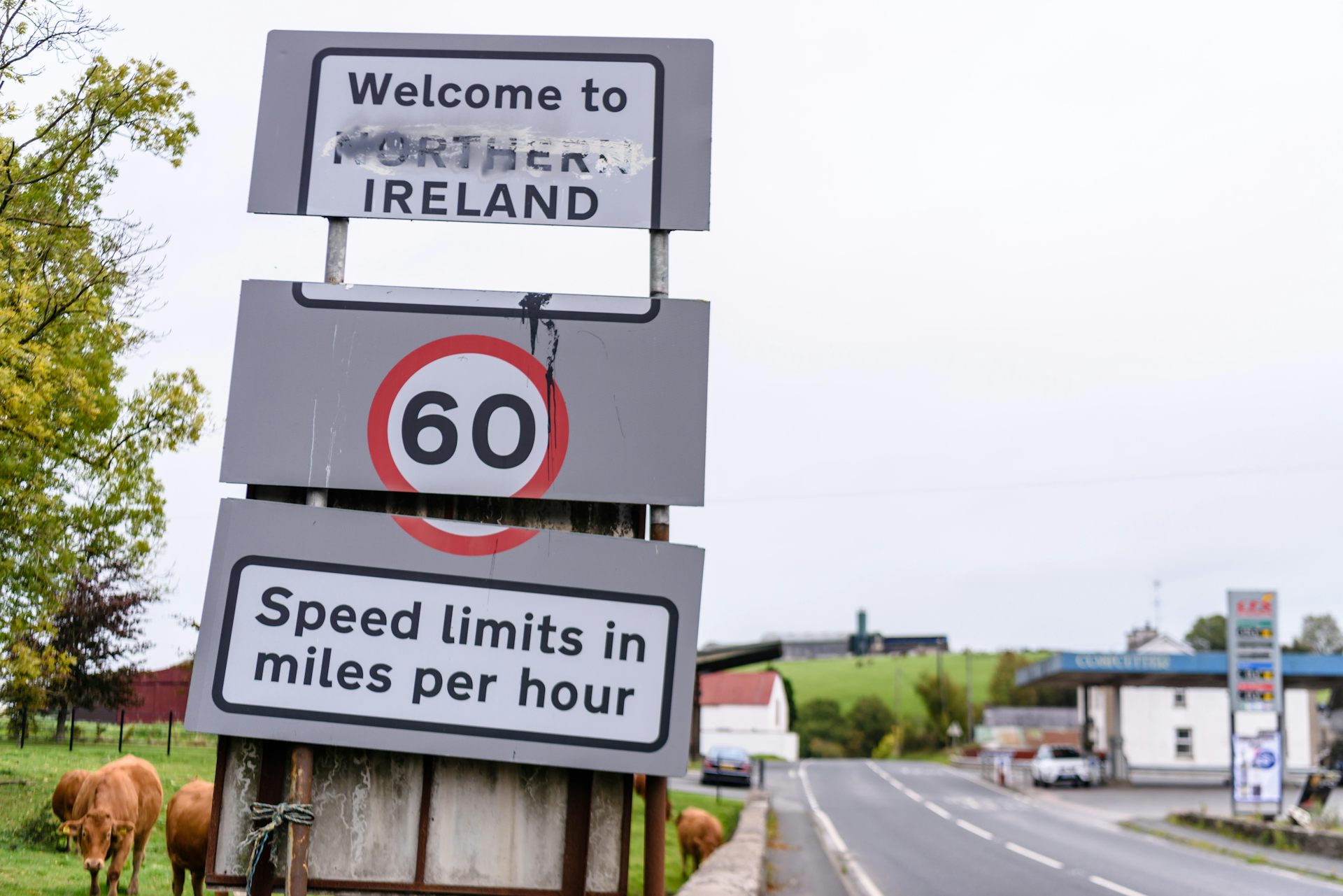 EnviroWireDaily — What is the Common Travel Area? Why the Ireland-UK border arrangement isn’t a ‘loophole’ for migrants