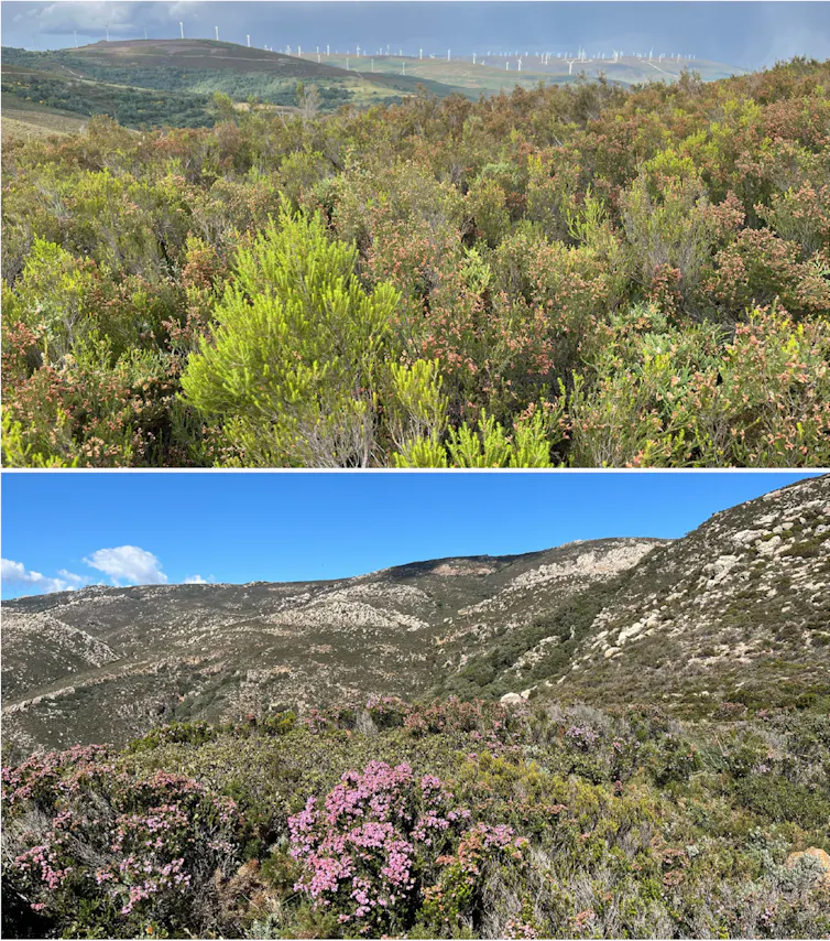 Dos fotos que muestran herriza en un paisaje montañoso