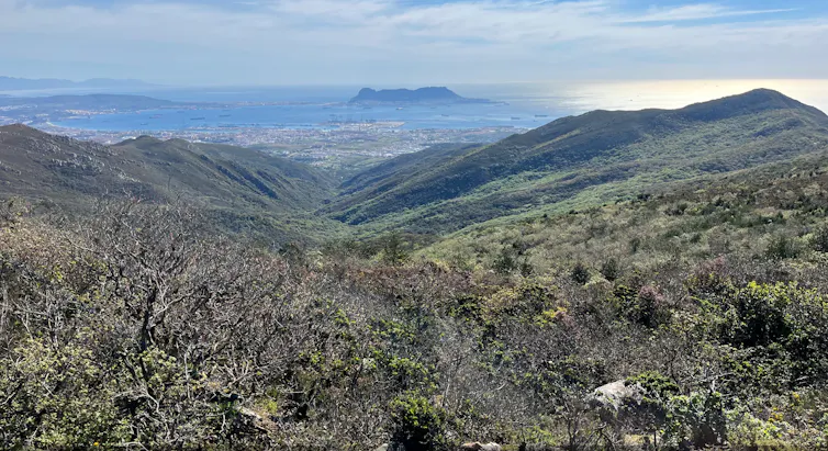 Propuesta ecológica de plantaciones forestales. 2 Paisaje de montaña mostrando herrizos en las crestas, alcornoques en las laderas y quejigos en el fondo del valle.