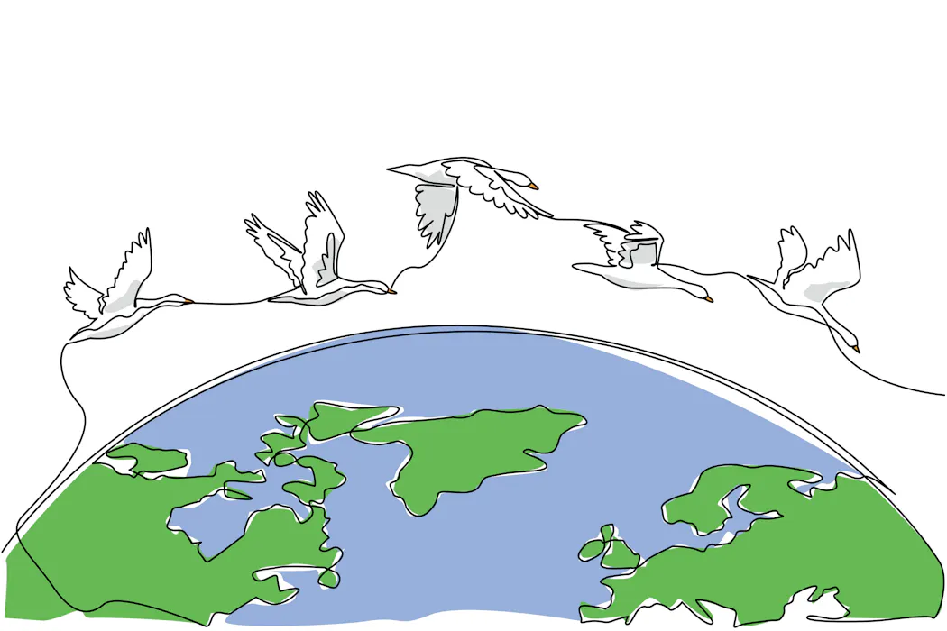 How do animals sense the Earth’s magnetic field?