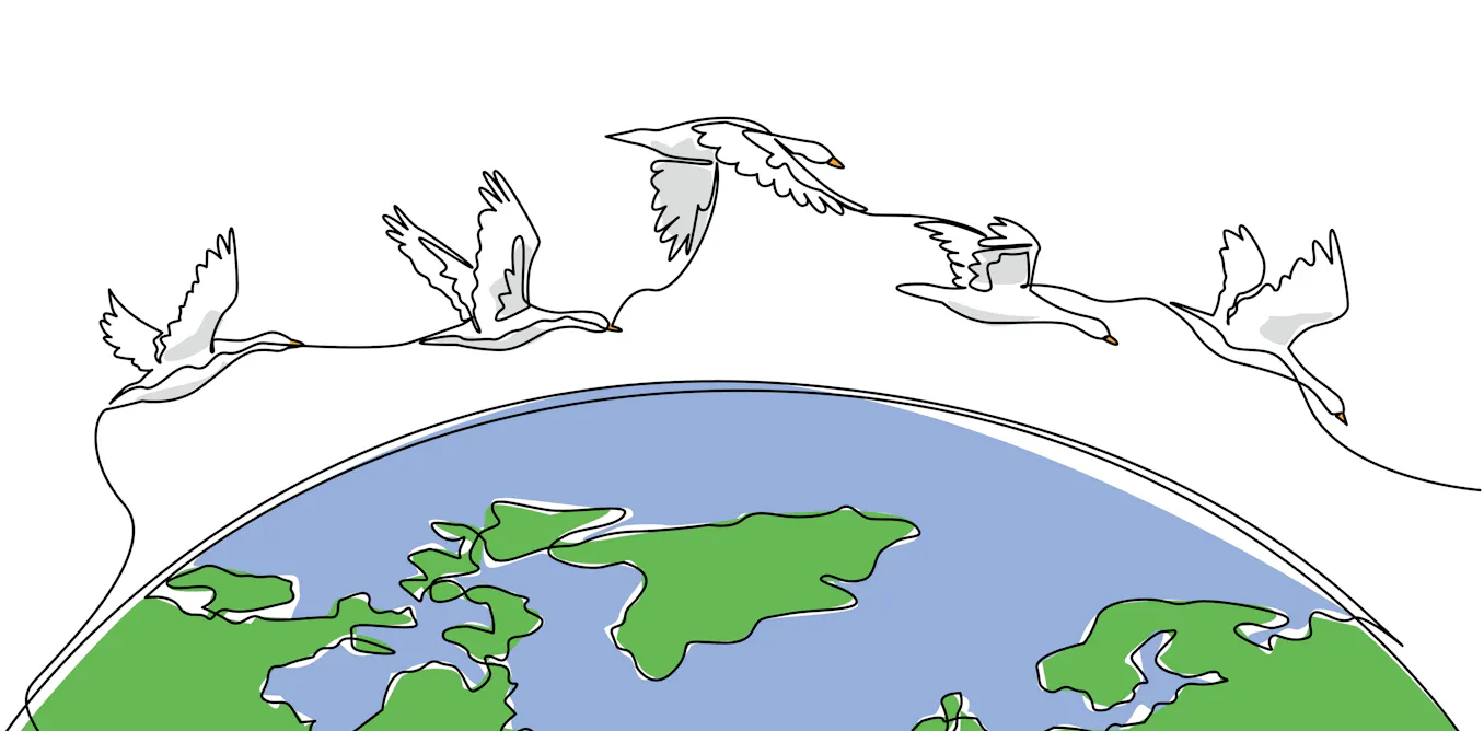 How do animals sense the Earth’s magnetic field? How do animals sense the Earth’s magnetic field?