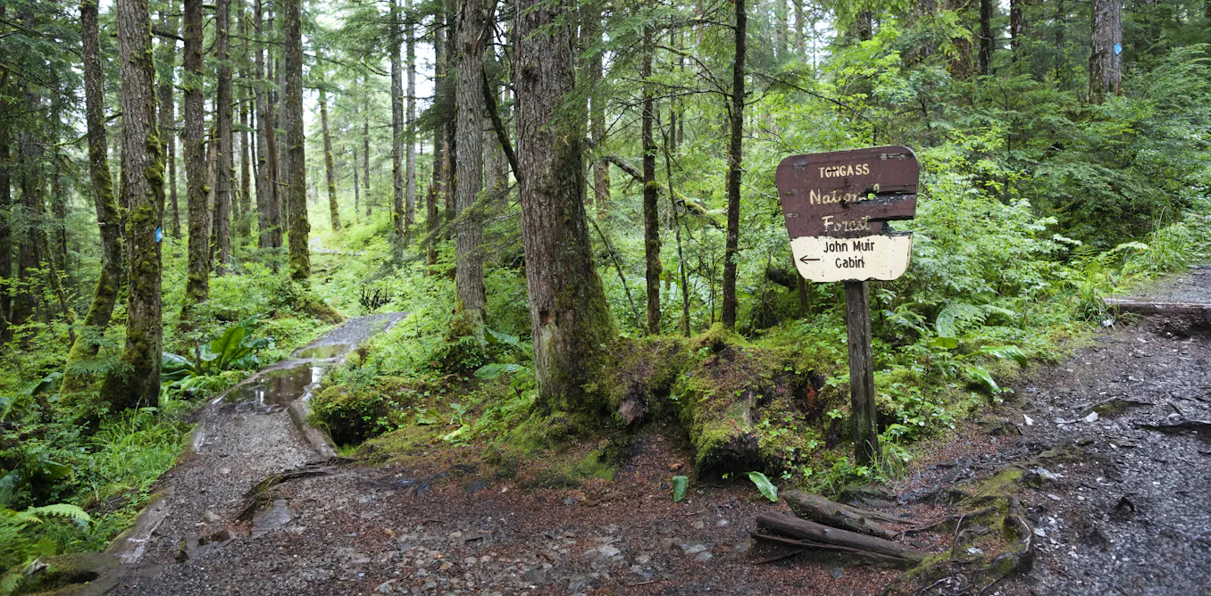 Photo: theconversation.com Dismantling the US Roadless Rule: Threats to Wildlife and America's Quiet Places