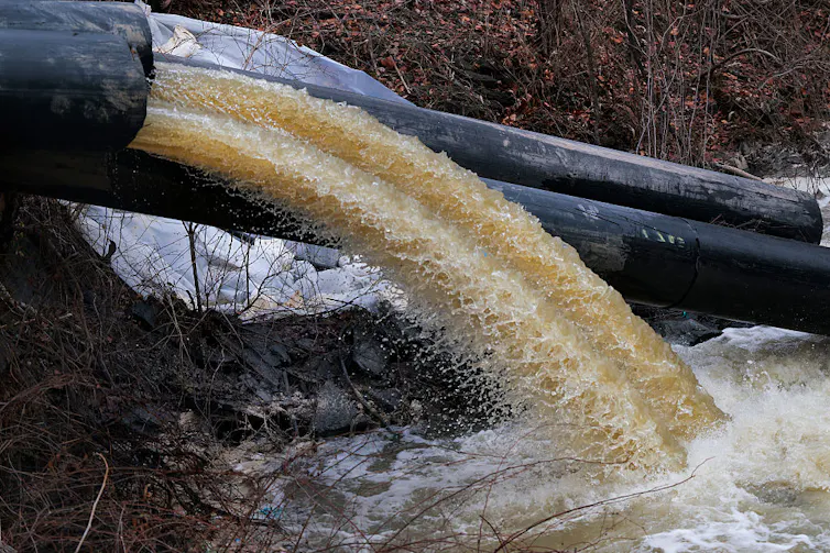 A large black pipe releases dark brown water into a river.
