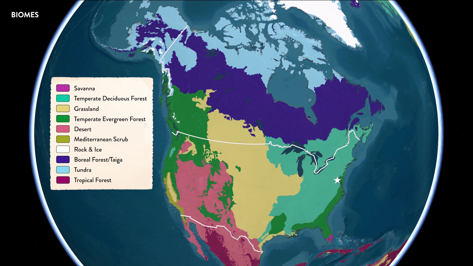 Map of North America colored by biome, showing ecological regions such as grasslands, deserts, forests and tundra.