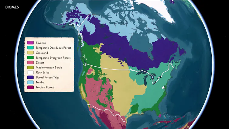 Map of North America colored by biome, showing ecological regions such as grasslands, deserts, forests and tundra.