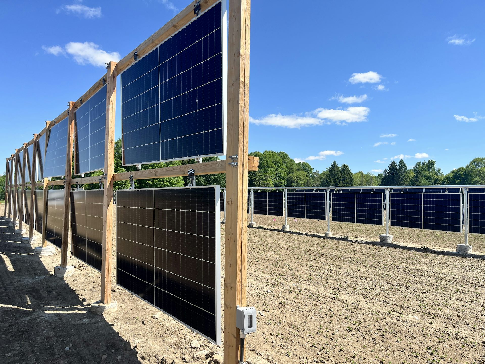 Altas vallas de madera con paneles solares incorporados y tierras de cultivo marrones con plantas atravesando el cielo azul