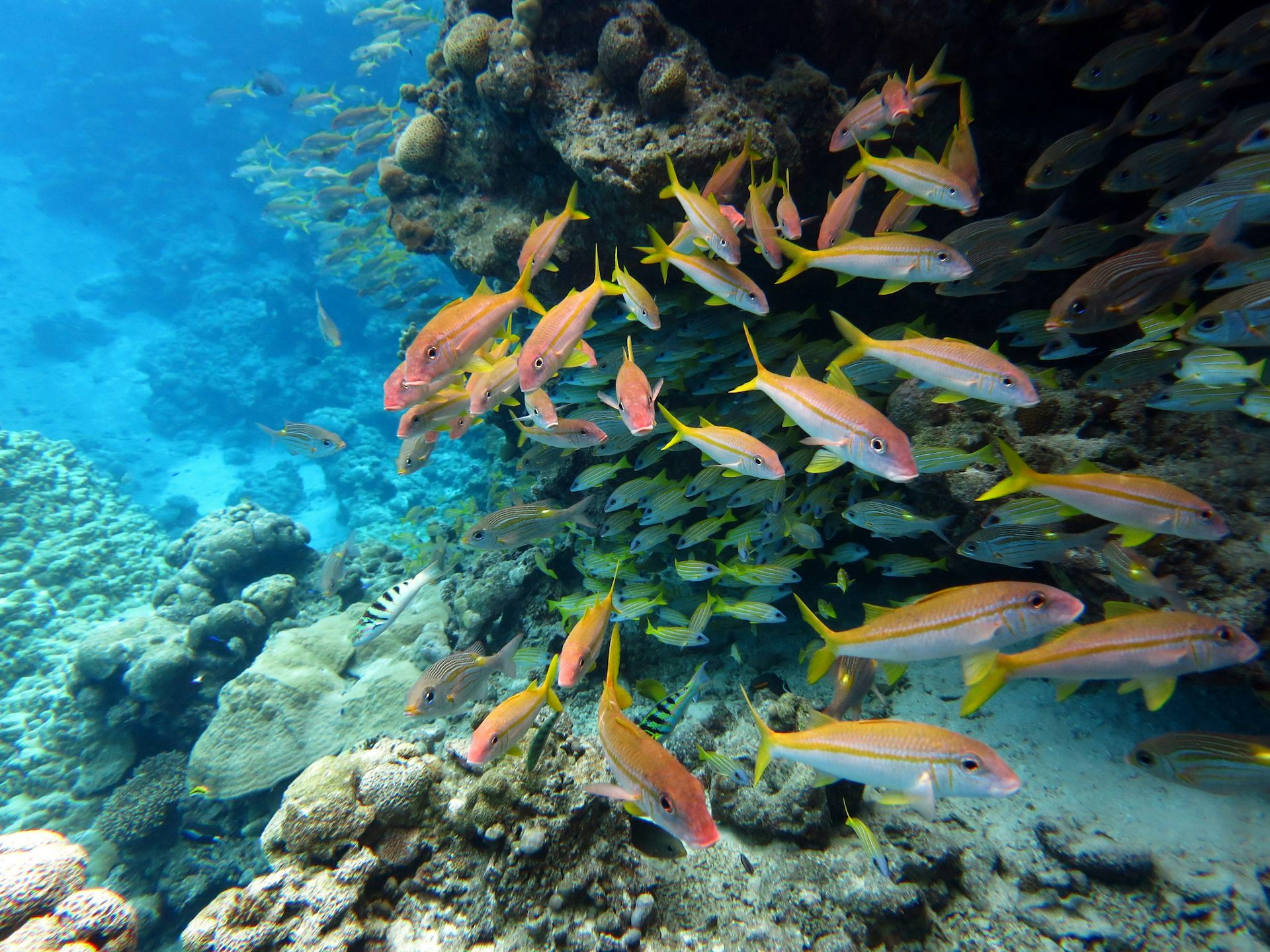 The world agreed to protect 30% of the ocean by 2030 – but marine protection can’t be judged by area alone