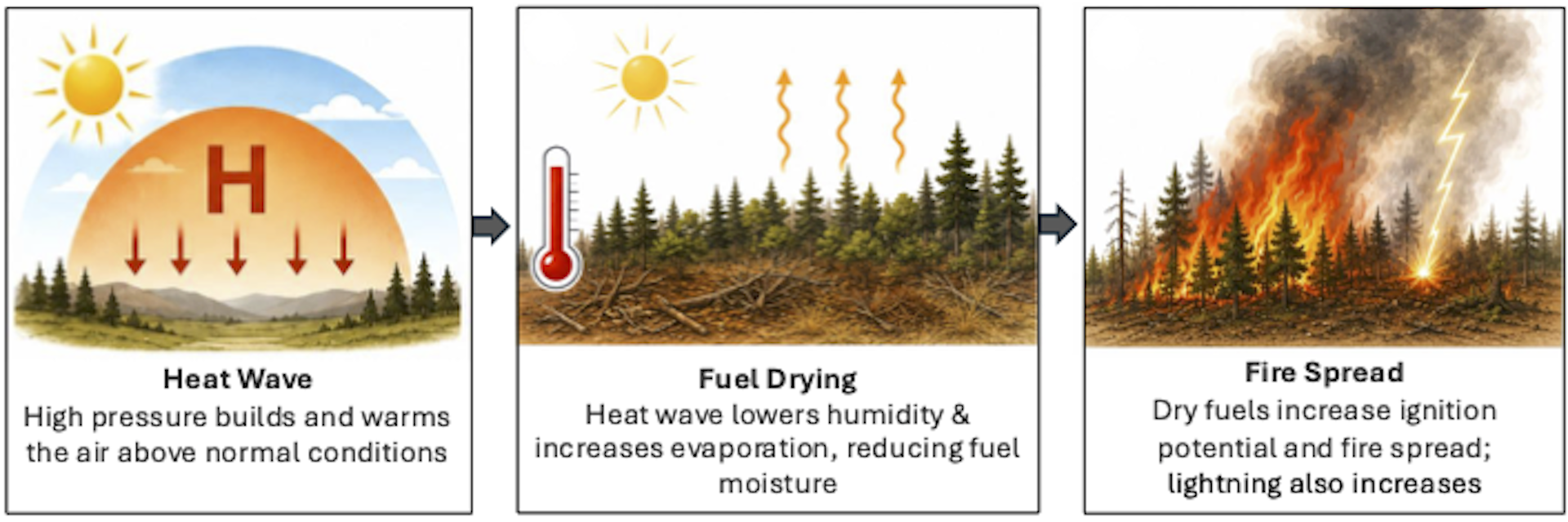 Cómo las olas de calor aumentan el riesgo de incendio.