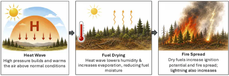 Las olas de calor aumentan el riesgo de incendio: un nuevo estudio explica en qué medida, y no es una cifra pequeña 1 Cómo las olas de calor aumentan el riesgo de incendio.