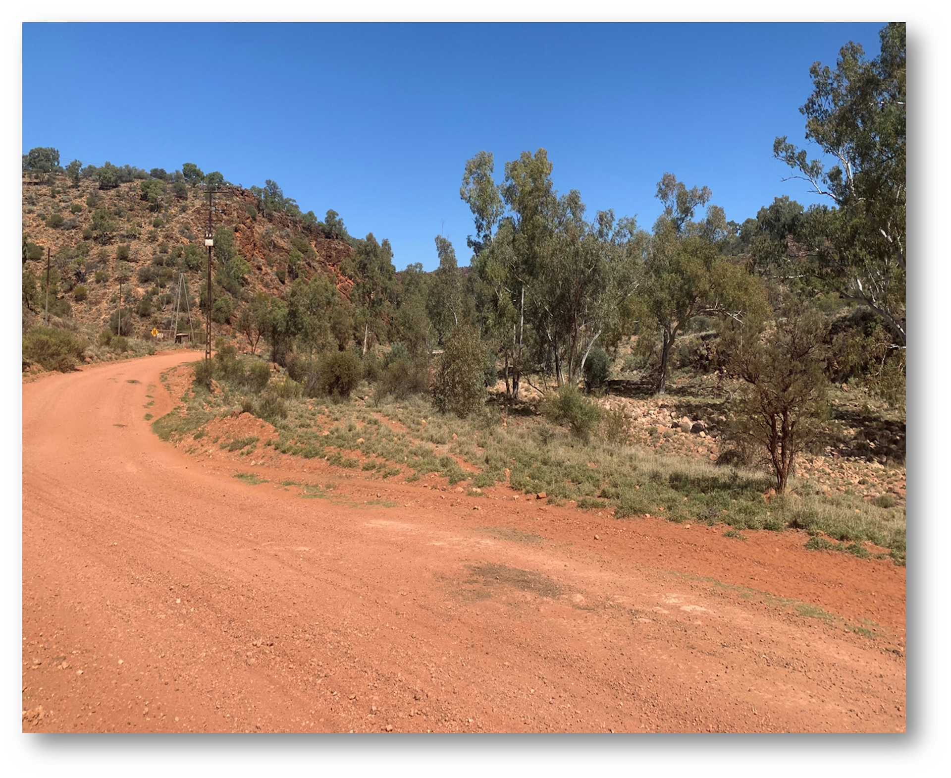 Image of a red dirt road and native scrub, somewhere in central Australia.