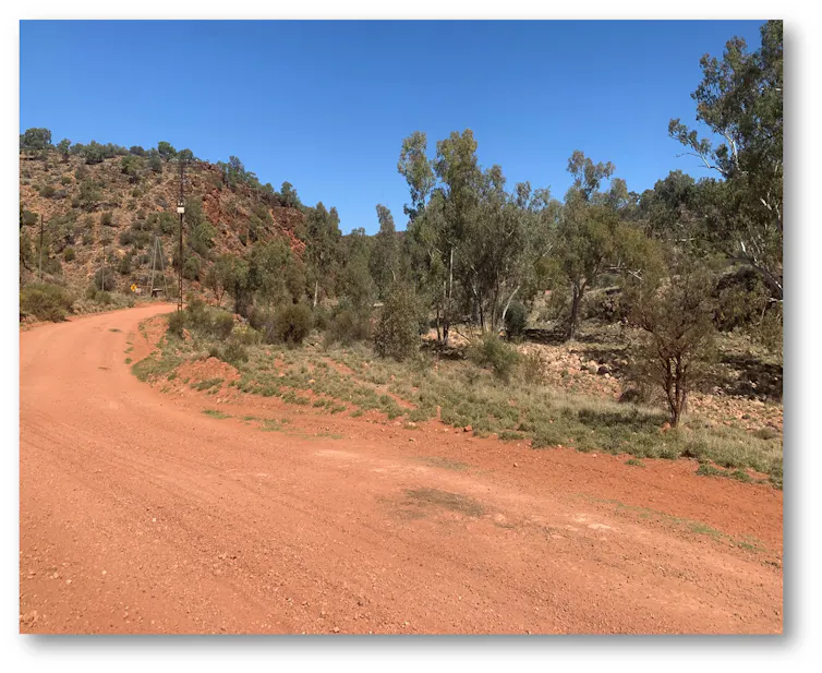 Image of a red dirt road and native scrub, somewhere in central Australia.