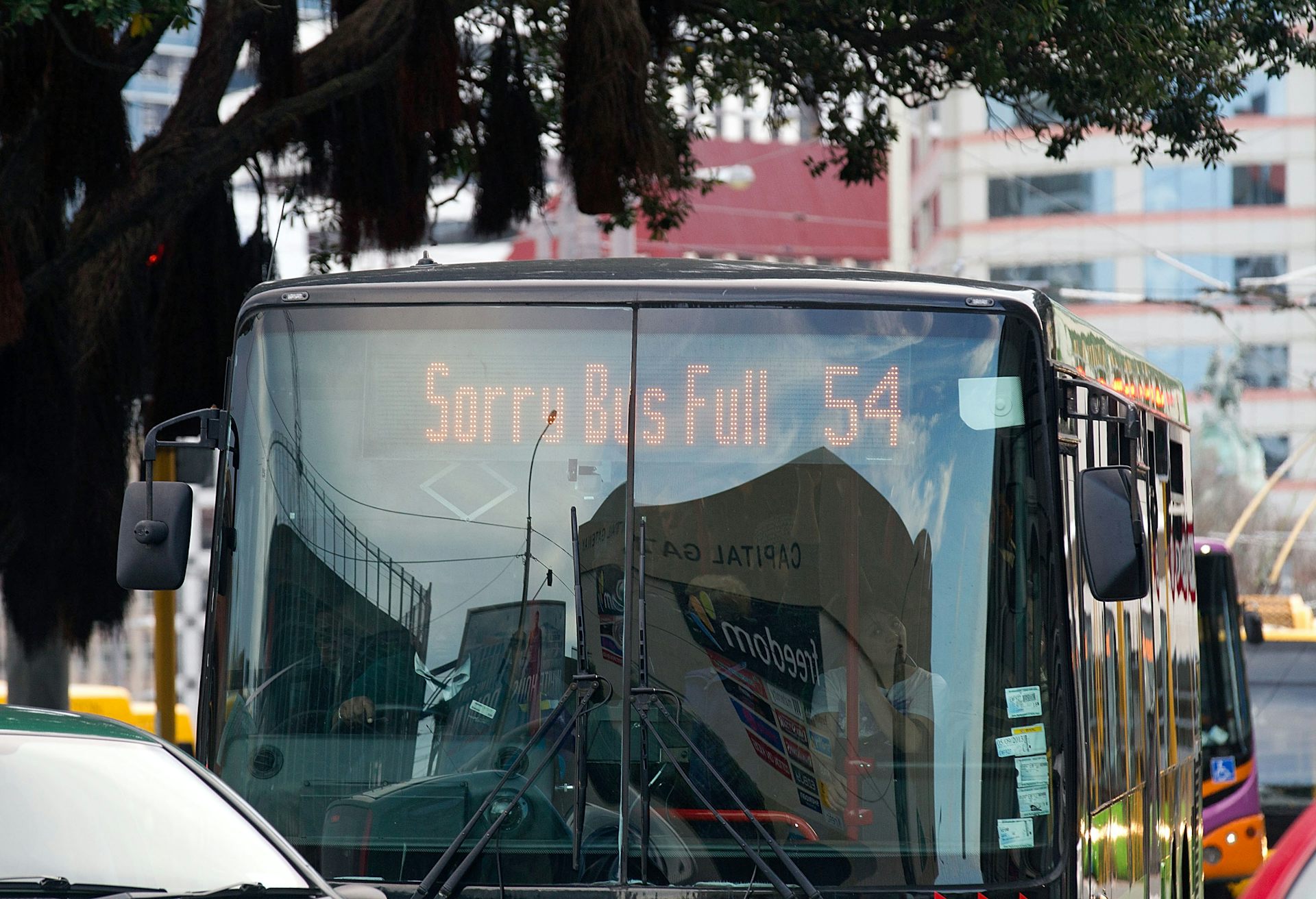 Cheaper fares won’t fix NZ’s public transport woes – and neither will a few extra buses
