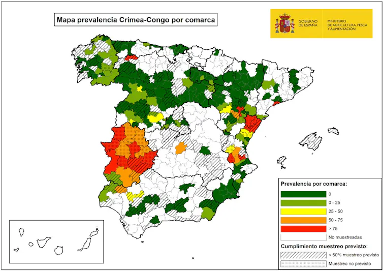 Más allá de los hantavirus: las zoonosis presentes en España 1 file 20260615 83 3q5lb8.jpg?ixlib=rb 4.1