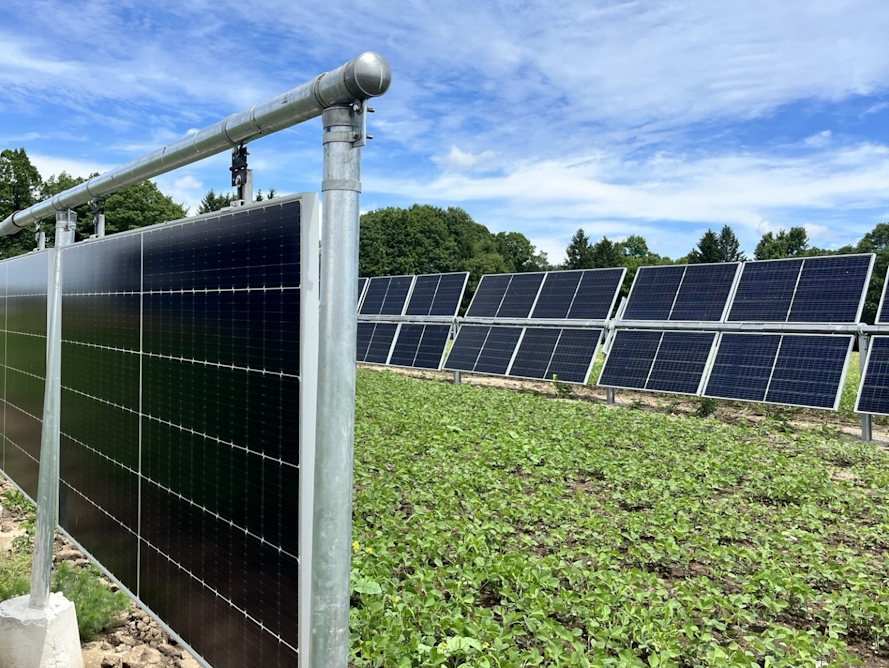 theconversation.com - Joshua M. Pearce - 'Agrivoltaics' can both power AI data centres and increase food production - new study