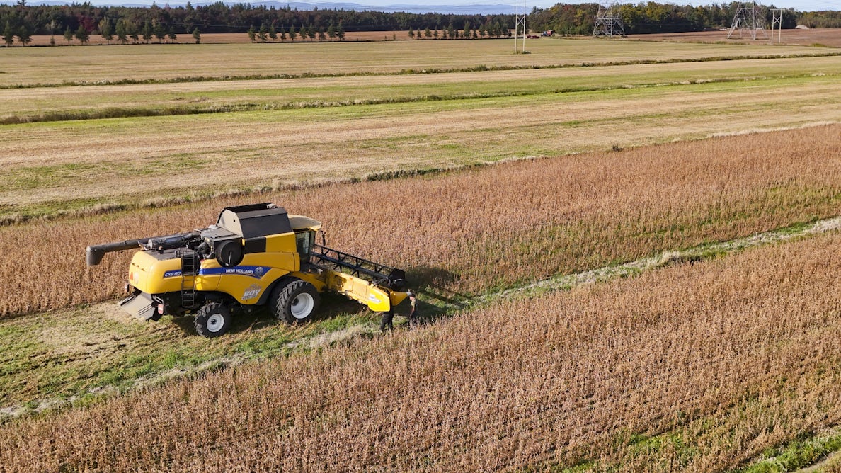 theconversation.com - Henri Chevalier - Canadian farms must keep growing to survive - and farmers and the environment are paying for it