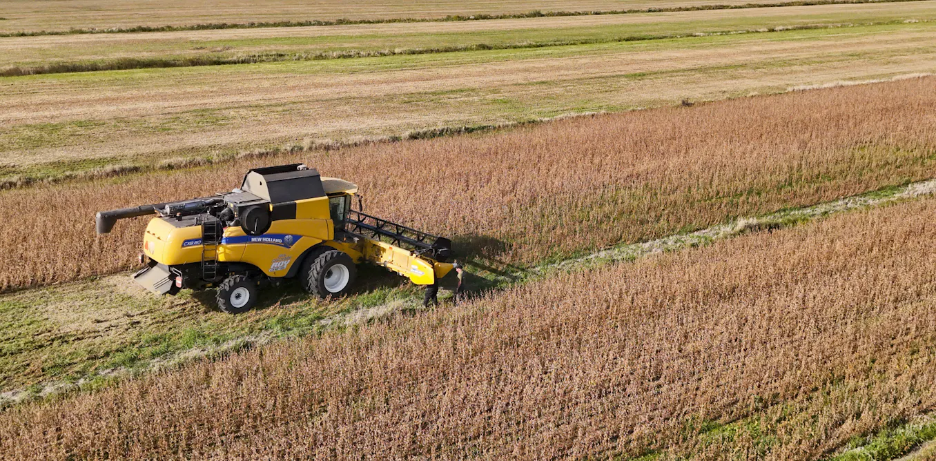 EduWireDaily — Canadian farms must keep growing to survive — and farmers and the environment are paying for it