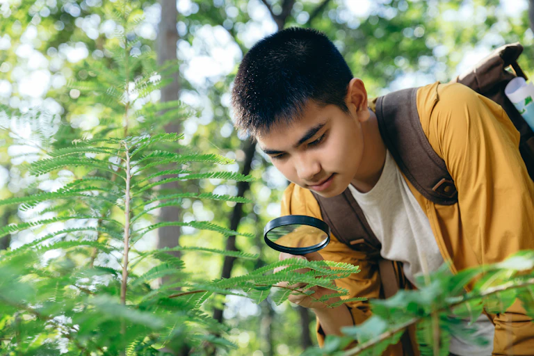 teenage boy in yellow shirt, surrounded by green ferns holding magnifying glass