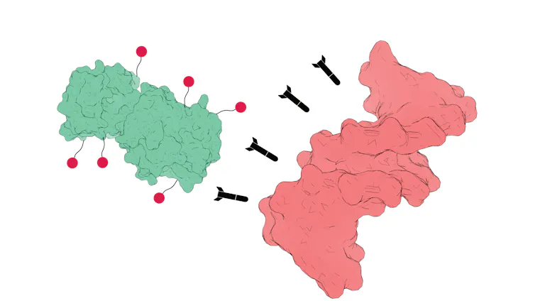 Uma proteína modificada com compostos orgânicos, induzindo a destruição de uma molécula de DNA.