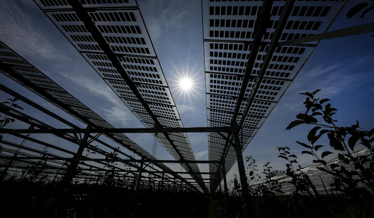 La "agrivoltaica" puede impulsar los centros de datos de IA y aumentar la producción de alimentos: nuevo estudio 1 file 20260616 57 uqome9.jpg?ixlib=rb 4.1