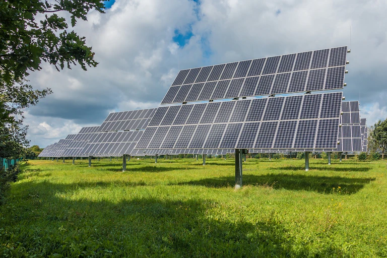 Dozens of large solar panels mounted on stands in a green field