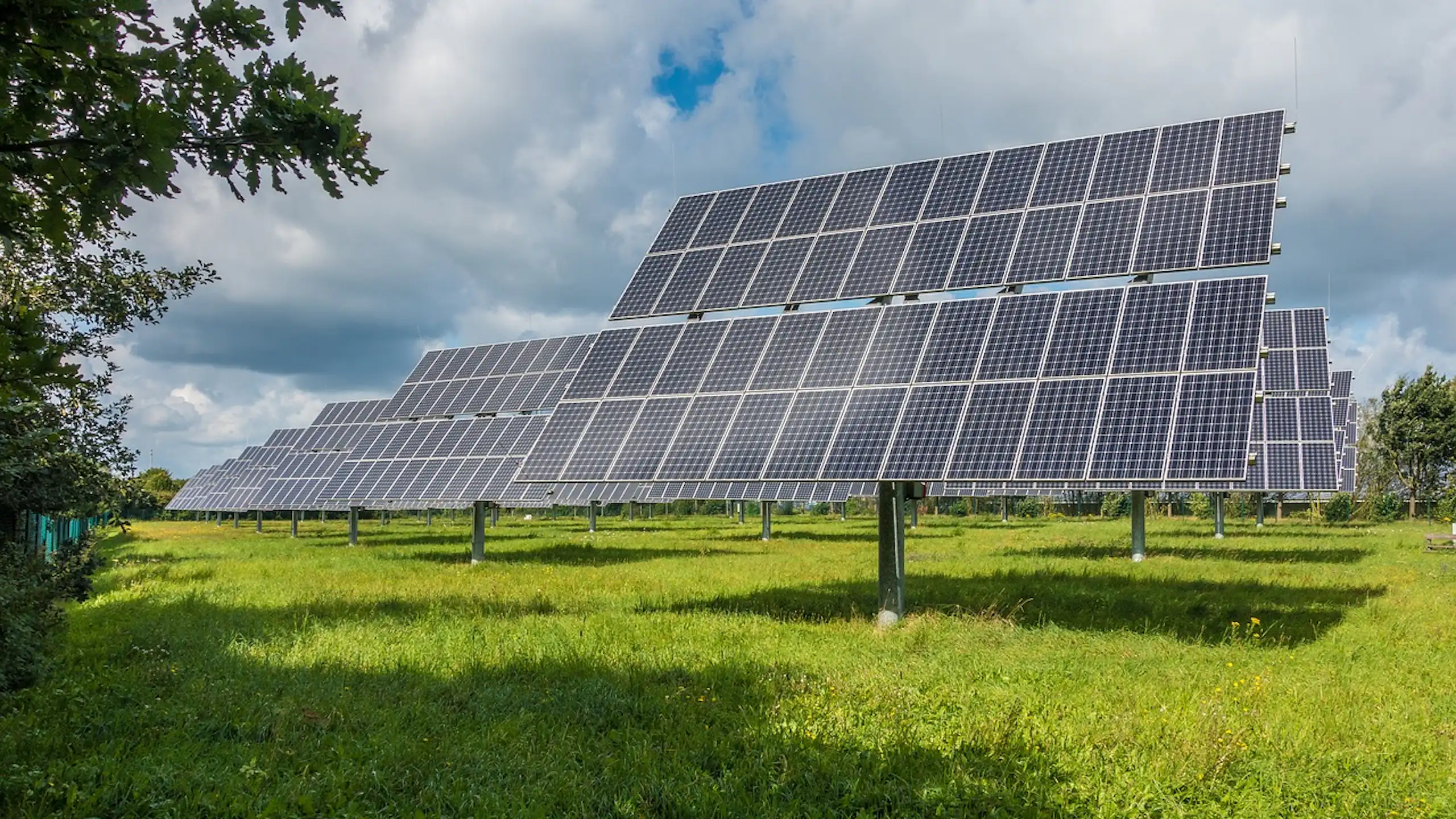 Dozens of large solar panels mounted on stands in a green field
