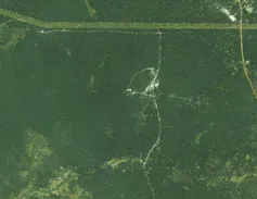 A satellite image showing a dense green area with a few minor roads