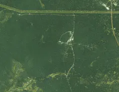 A satellite image showing a dense green area with a few minor roads